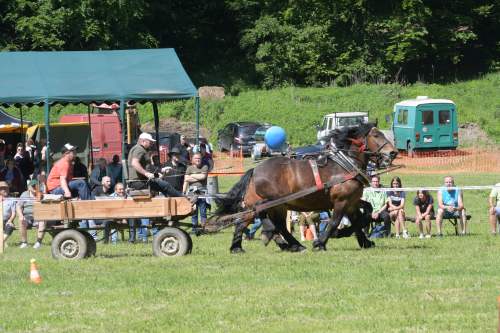 DSC_5104